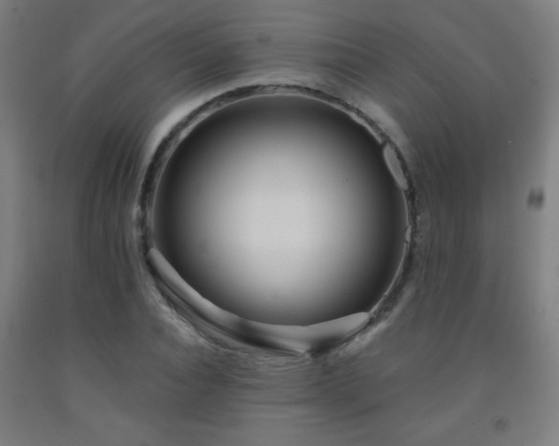 X0000093260928200709261728