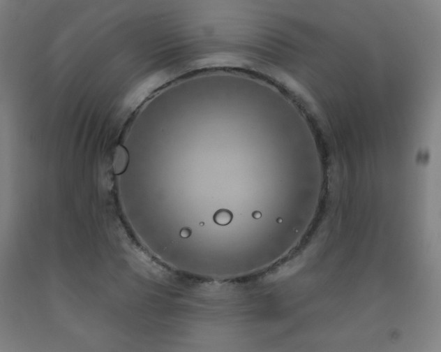 X0000093260929200709261728