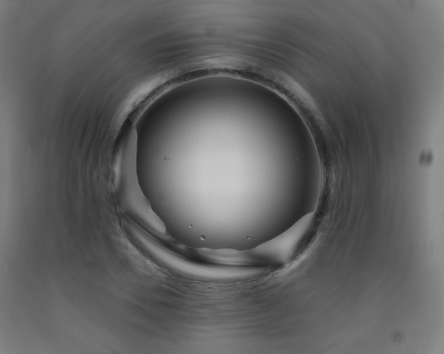 X0000093260930200709261728