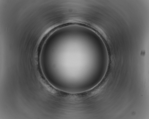 X0000093260931200709261728