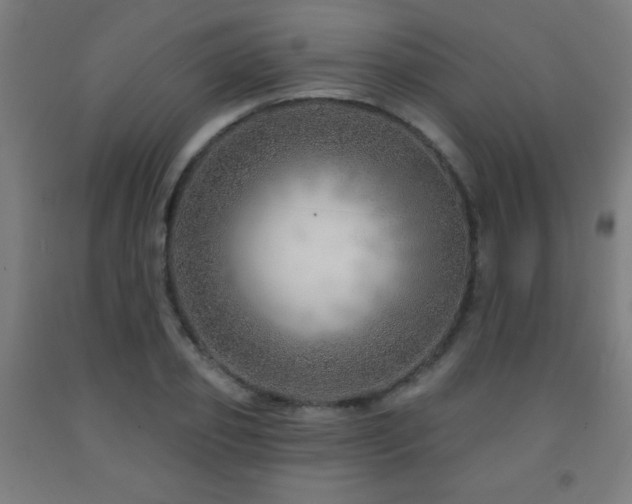 X0000093260933200709261728