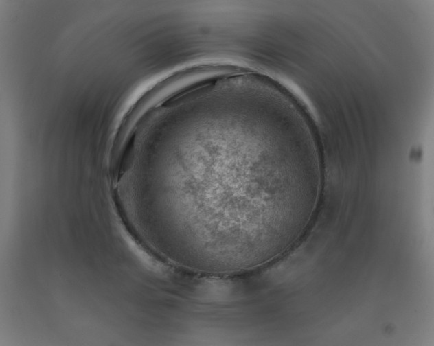 X0000093260935200709261728