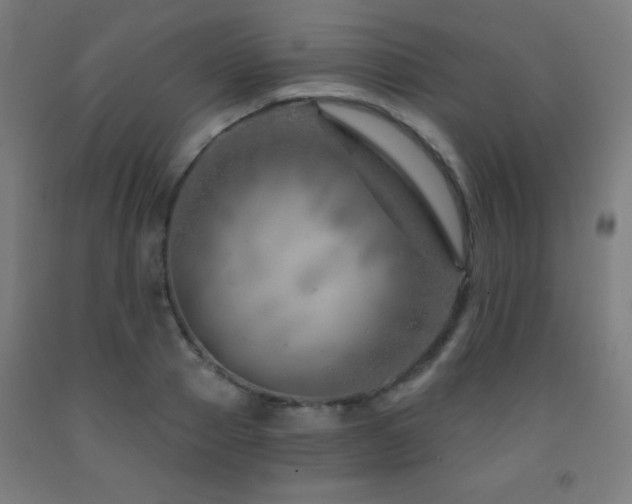 X0000093260937200709261728