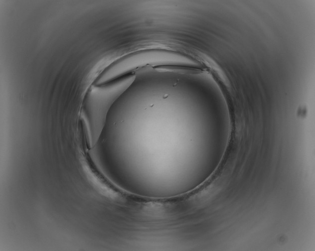 X0000093260938200709261729