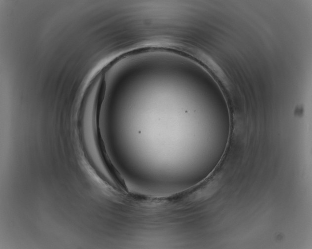 X0000093260939200709261729