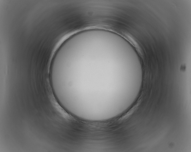 X0000093260940200709261729