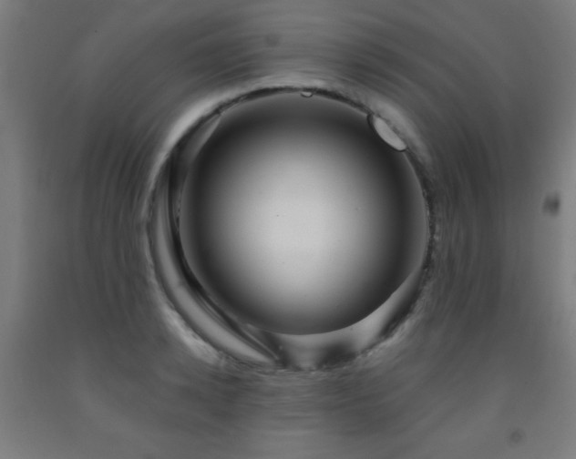X0000093260942200709261729