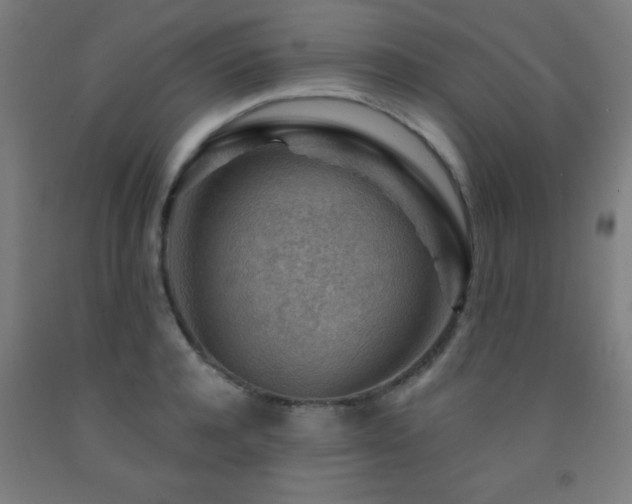 X0000093260944200709261729