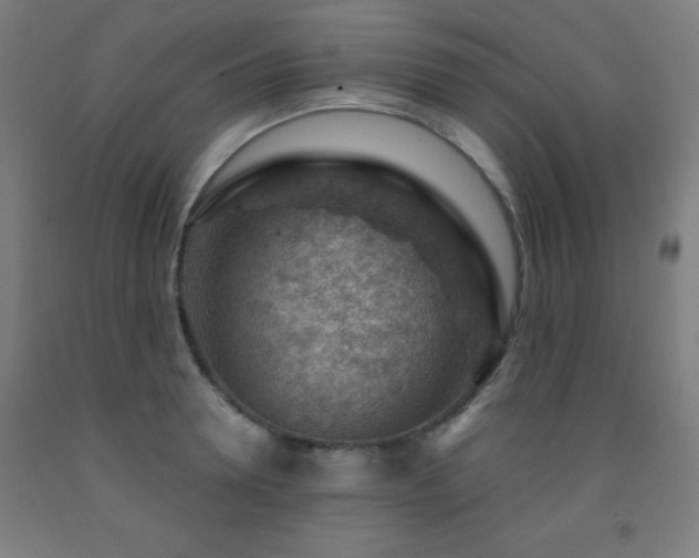 X0000093260946200709261729