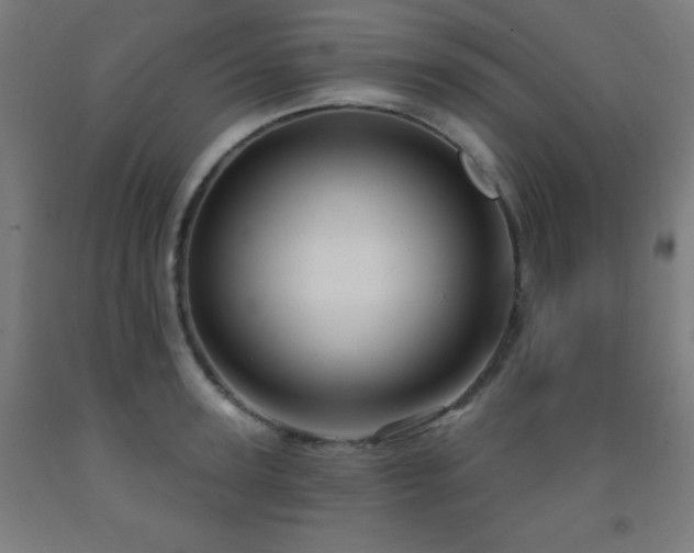 X0000093260947200709261729