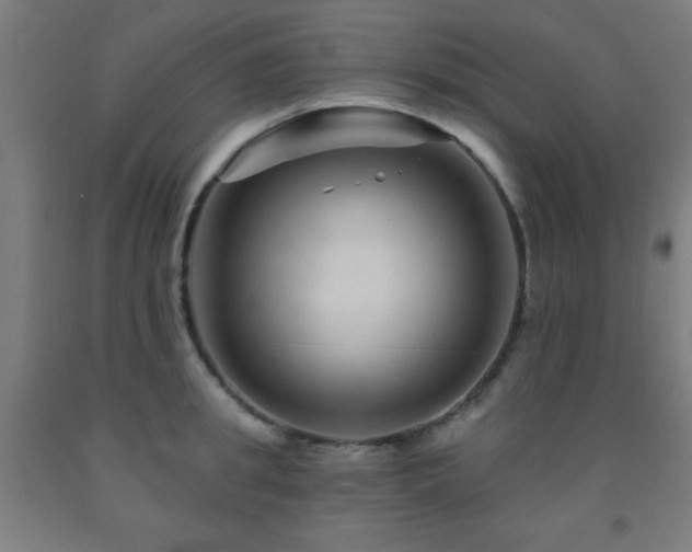 X0000093260949200709261729
