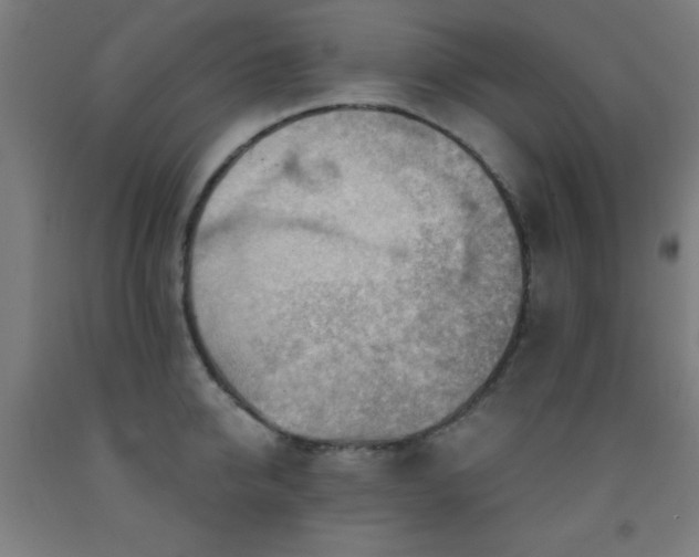 X0000093260950200709261729