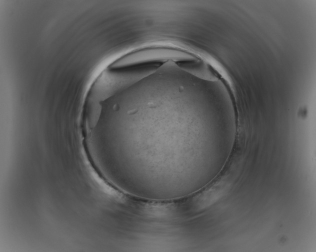 X0000093260951200709261729