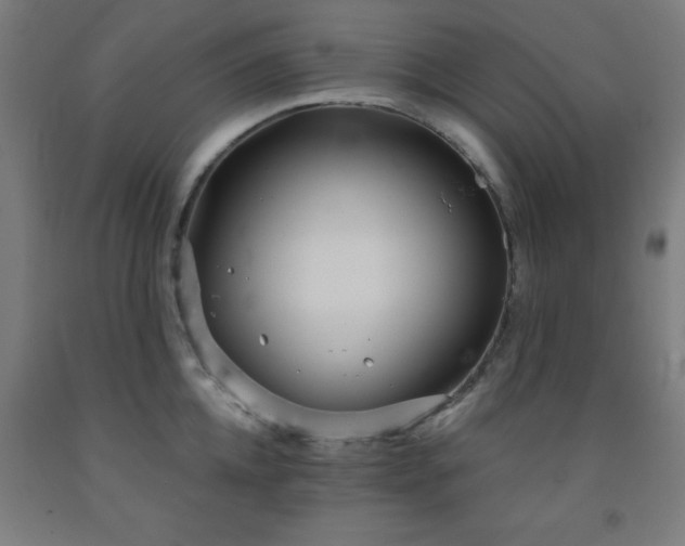 X0000093260952200709261729