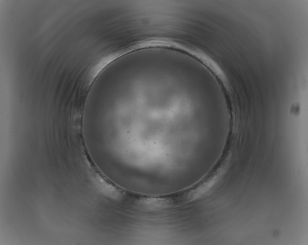 X0000093260953200709261729