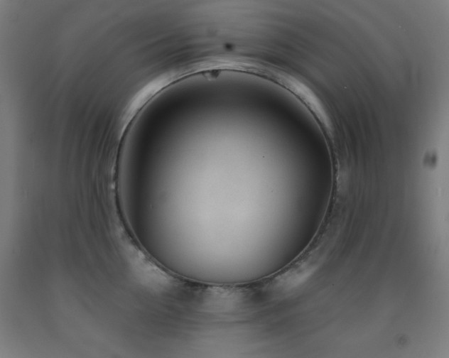 X0000093260954200709261729