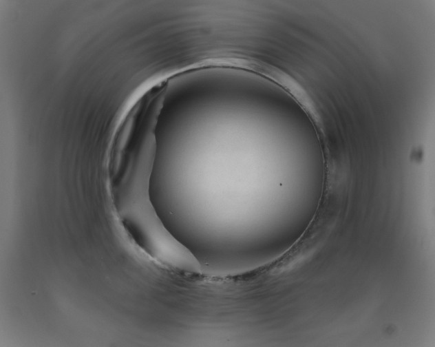 X0000093260955200709261729