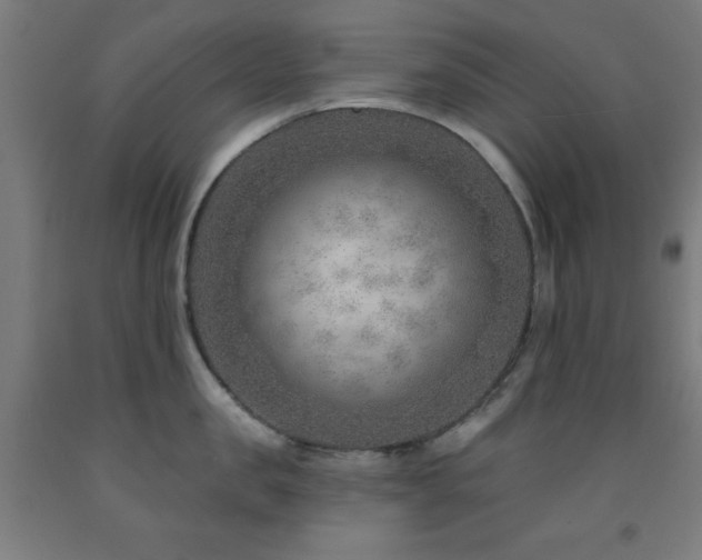 X0000093260957200709261729