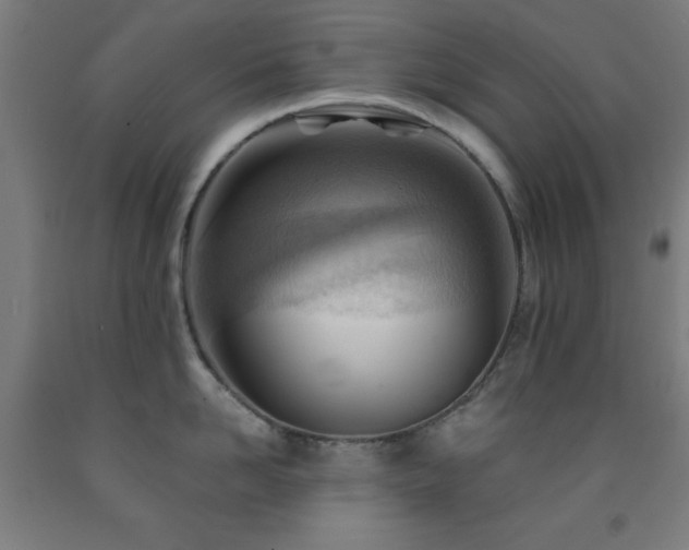 X0000093260958200709261729