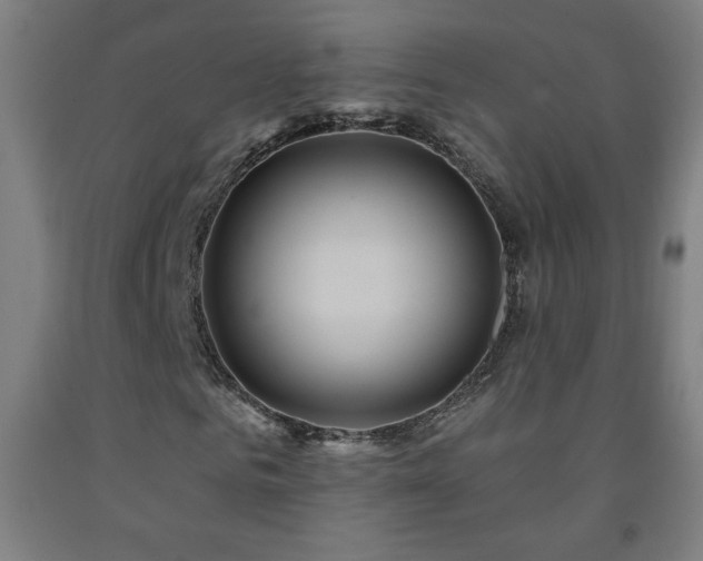 X0000093260961200709261728