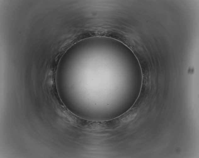X0000093260962200709261728