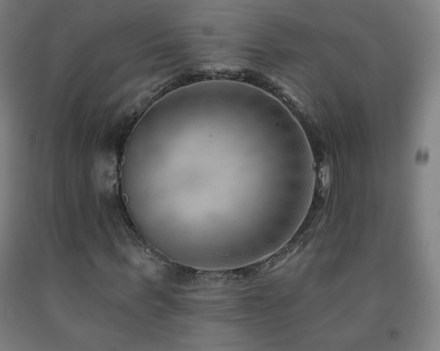 X0000093260963200709261728