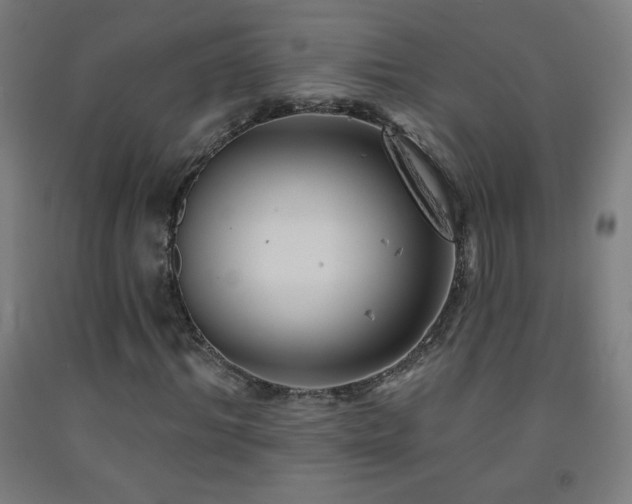 X0000093260964200709261728