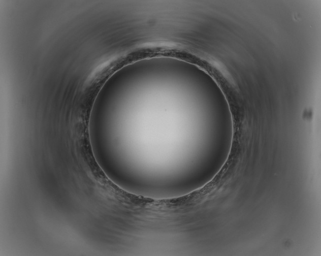 X0000093260967200709261728