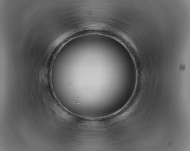 X0000093260970200709261728