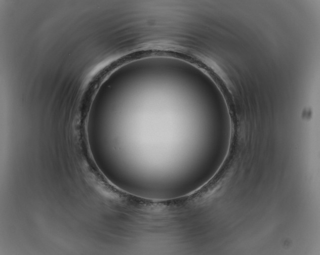 X0000093260971200709261728