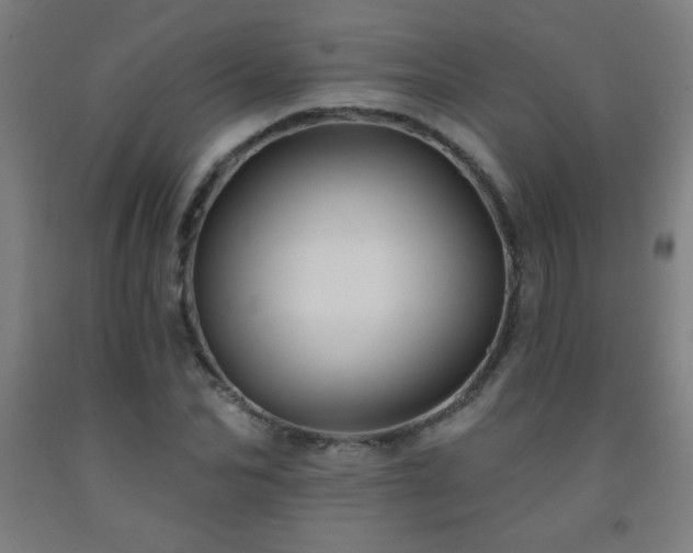 X0000093260974200709261728
