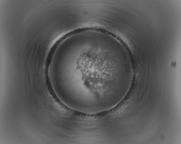 X0000093260975200709261728