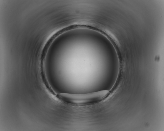 X0000093260976200709261728