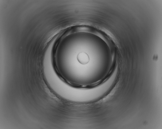 X0000093260977200709261728
