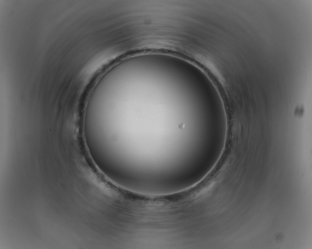 X0000093260979200709261728
