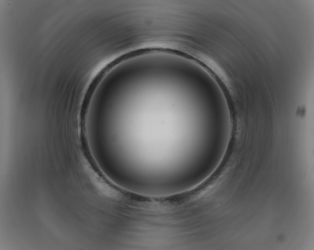 X0000093260980200709261728