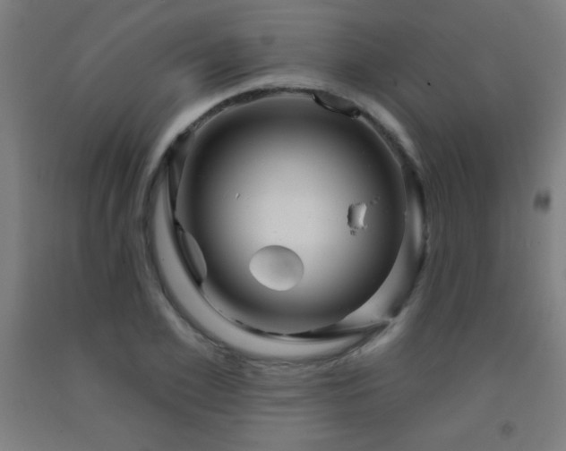 X0000093260981200709261728