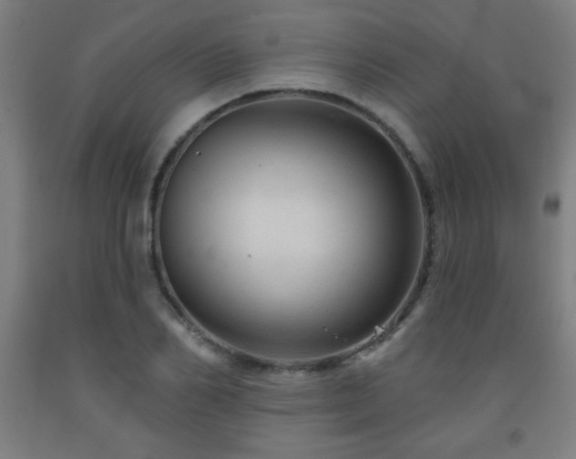 X0000093260982200709261728
