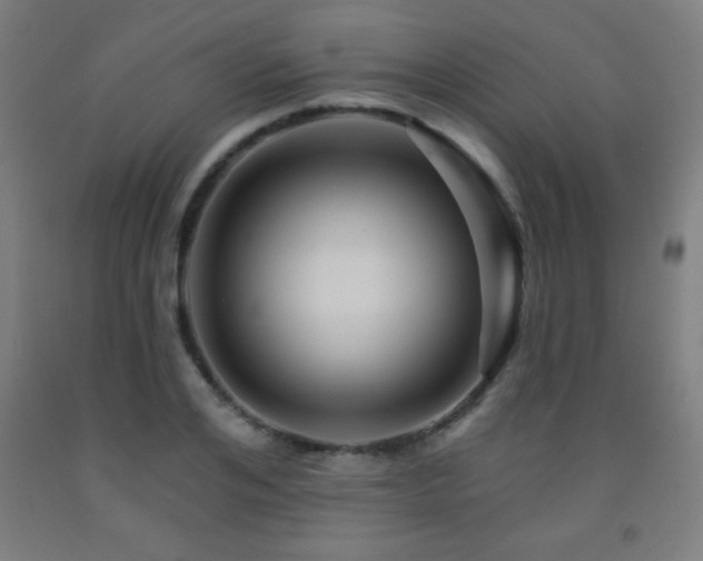X0000093260984200709261728