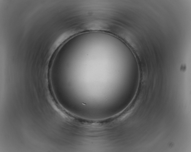 X0000093260986200709261728