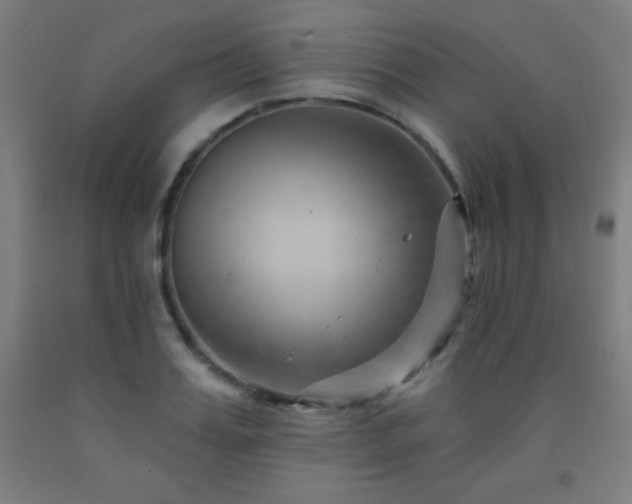 X0000093260987200709261728