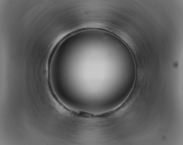 X0000093260988200709261728