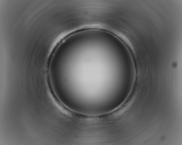 X0000093260989200709261727