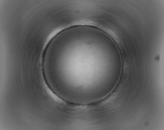 X0000093260990200709261727
