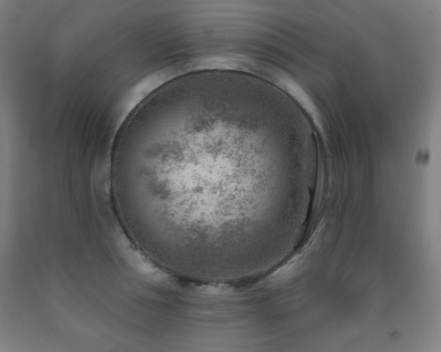 X0000093260994200709261727