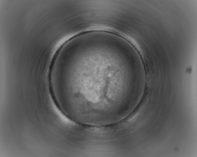 X0000093260995200709261727