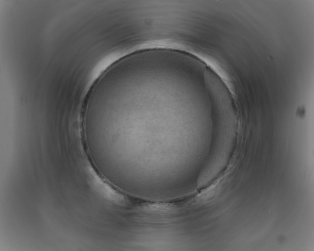X0000093260998200709261727