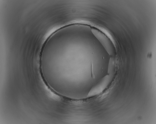 X0000093260999200709261727