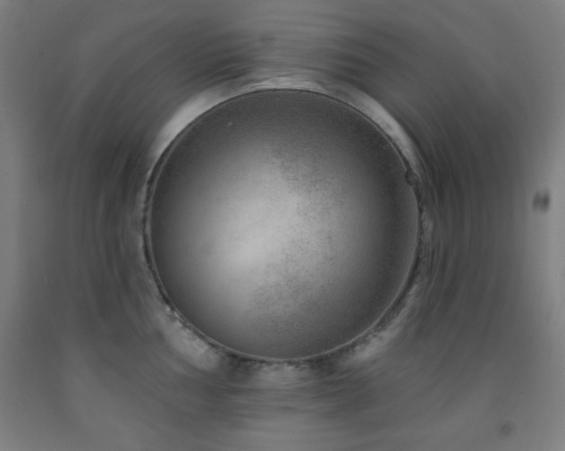 X0000093261002200709261727
