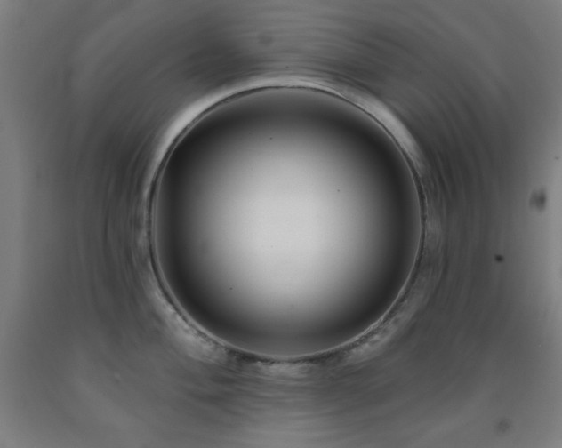 X0000093261004200709261727